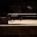 Pistolet Gomm Cogne : Avis d’experts et comparatif detaille des prix par modele
